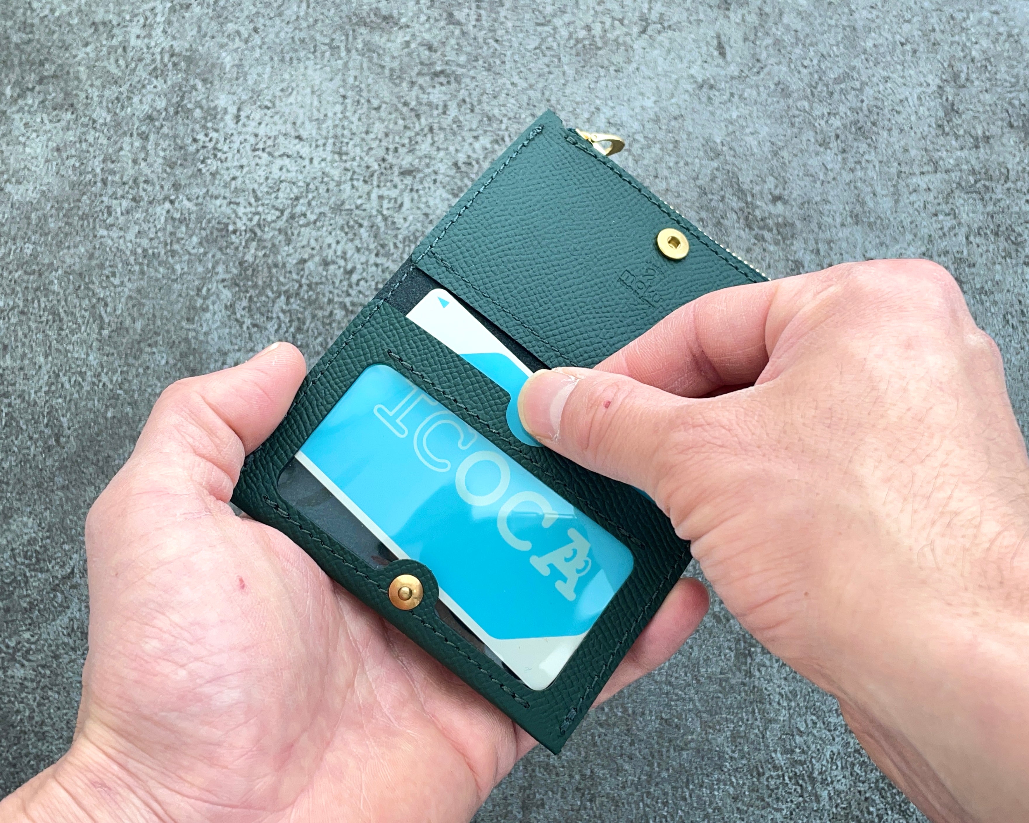 Pass case Pikon Noblessa