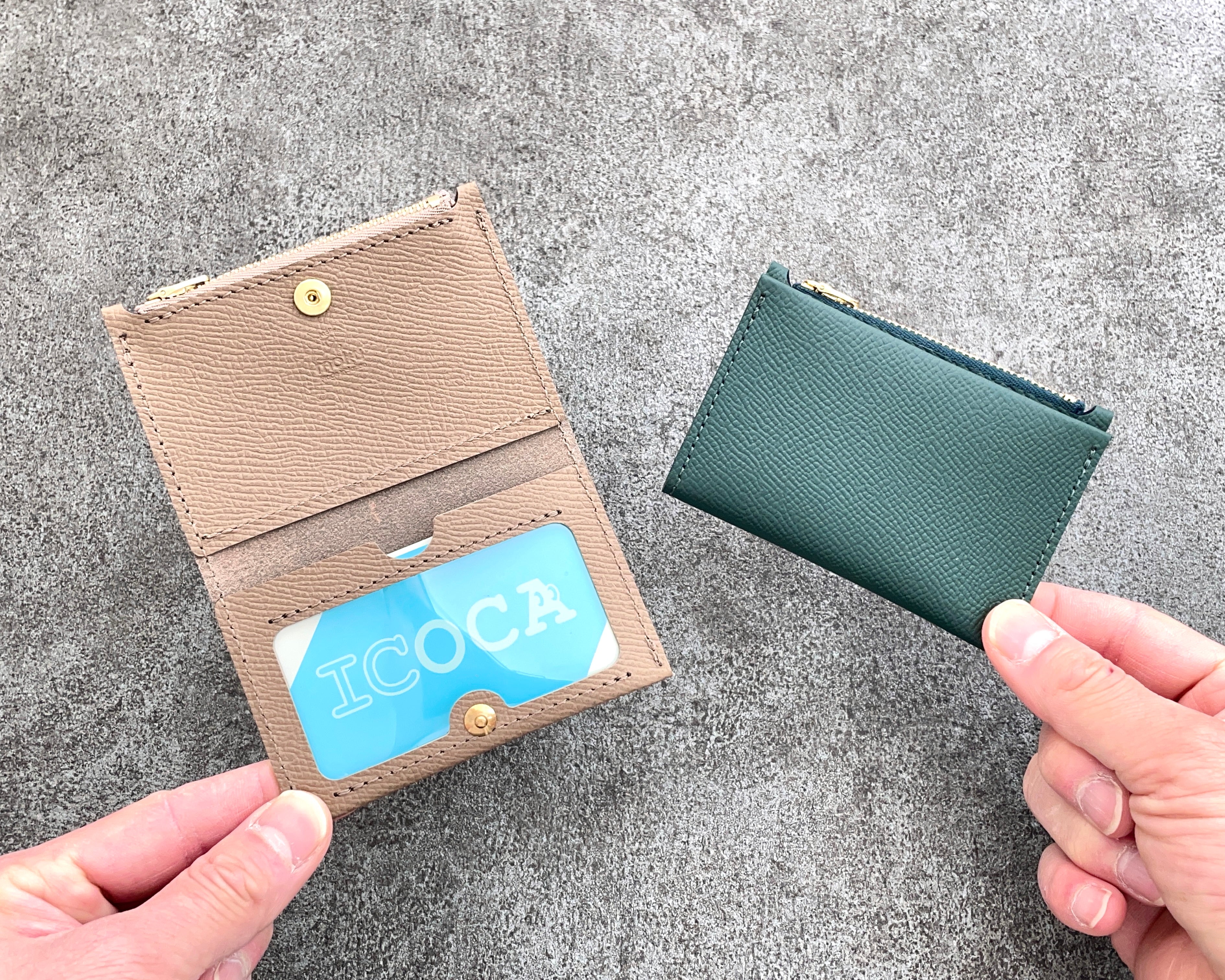 Pass case Pikon Noblessa