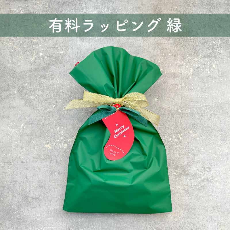 クリスマスラッピング緑+手提げ袋